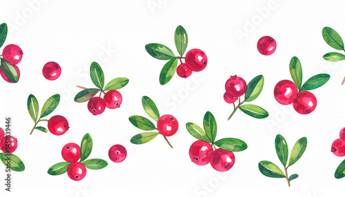 Watercolor painting of ripe cranberry on white background. Juicy berry. Hand drawn art.