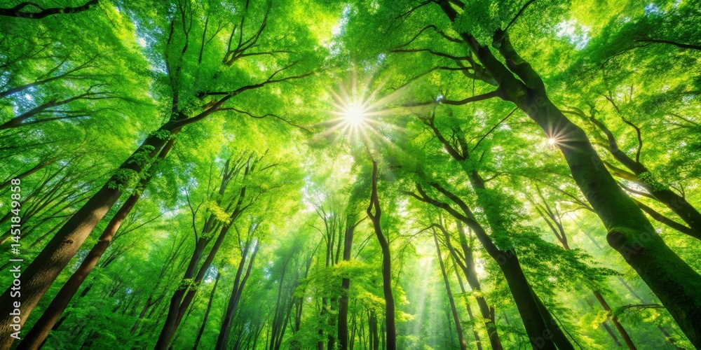 Sunlight Dappling Through Lush Canopy of Vibrant Green Trees in a Serene Forest Sunlight Dappling Through Lush Canopy of Vibrant Green Trees in a Serene Forest
