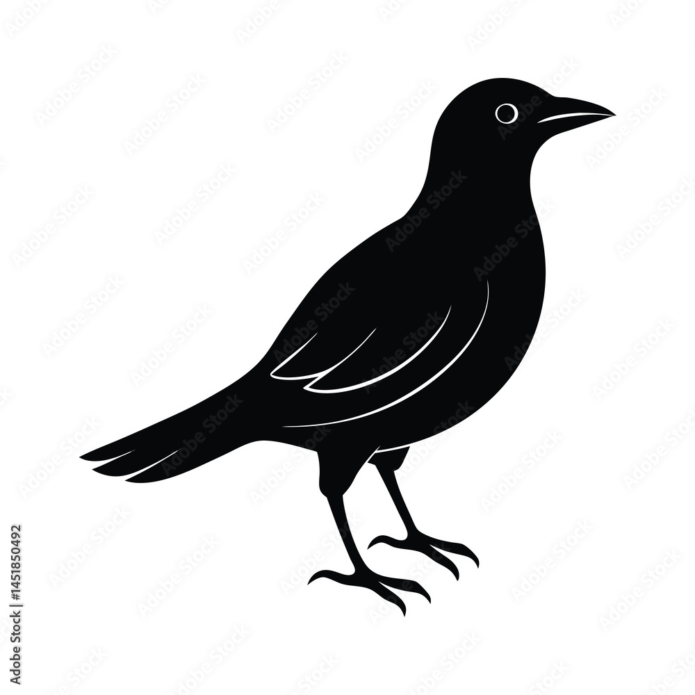 Obraz premium Black Flying Bird Silhouette Vector Illustration
