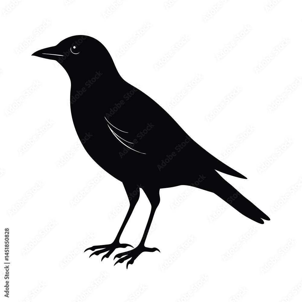 Fototapeta premium Bird with Long Tail Silhouette Vector Illustration