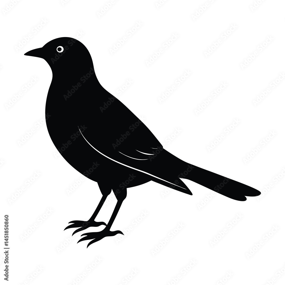 Fototapeta premium Kids Project Bird Silhouette Vector Illustration