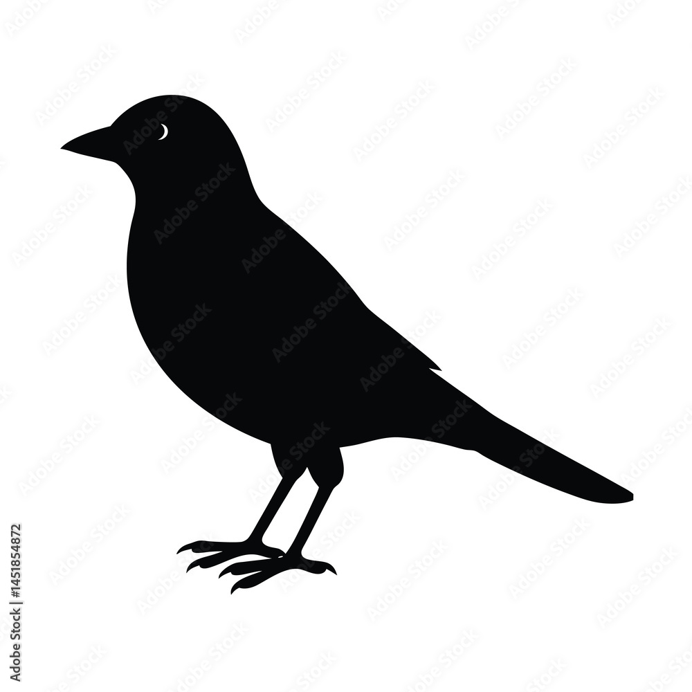 Obraz premium Graceful Crow Flight Silhouette