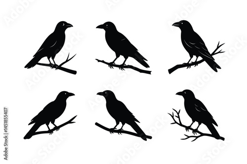 Wallpaper Mural Modern Crow Bird Silhouette Vector Illustration Torontodigital.ca