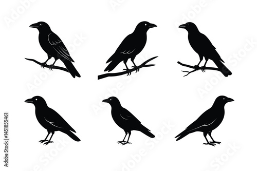 Wallpaper Mural Crow Bird Minimal Silhouette Vector Illustration Torontodigital.ca