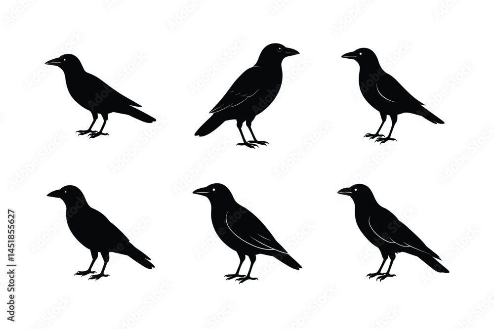 custom made wallpaper toronto digitalSimple Abstract Crow Silhouette Vector Illustration