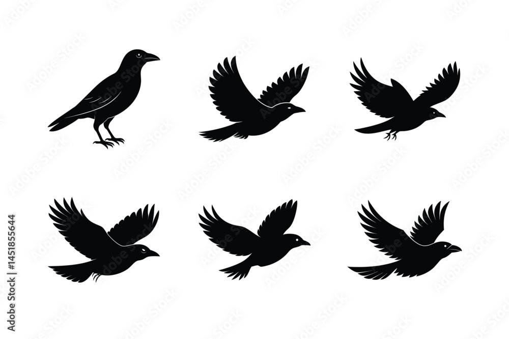 Fototapeta premium Stylized Crow Bird Silhouette Vector Illustration