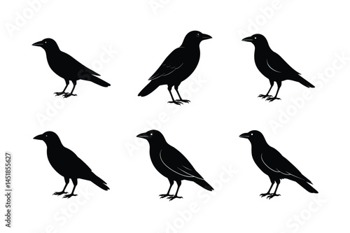 Wallpaper Mural Simple Abstract Crow Silhouette Vector Illustration Torontodigital.ca