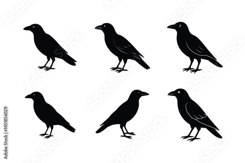 Wallpaper Mural Crow Bird Artwork Silhouette Vector Illustration Torontodigital.ca