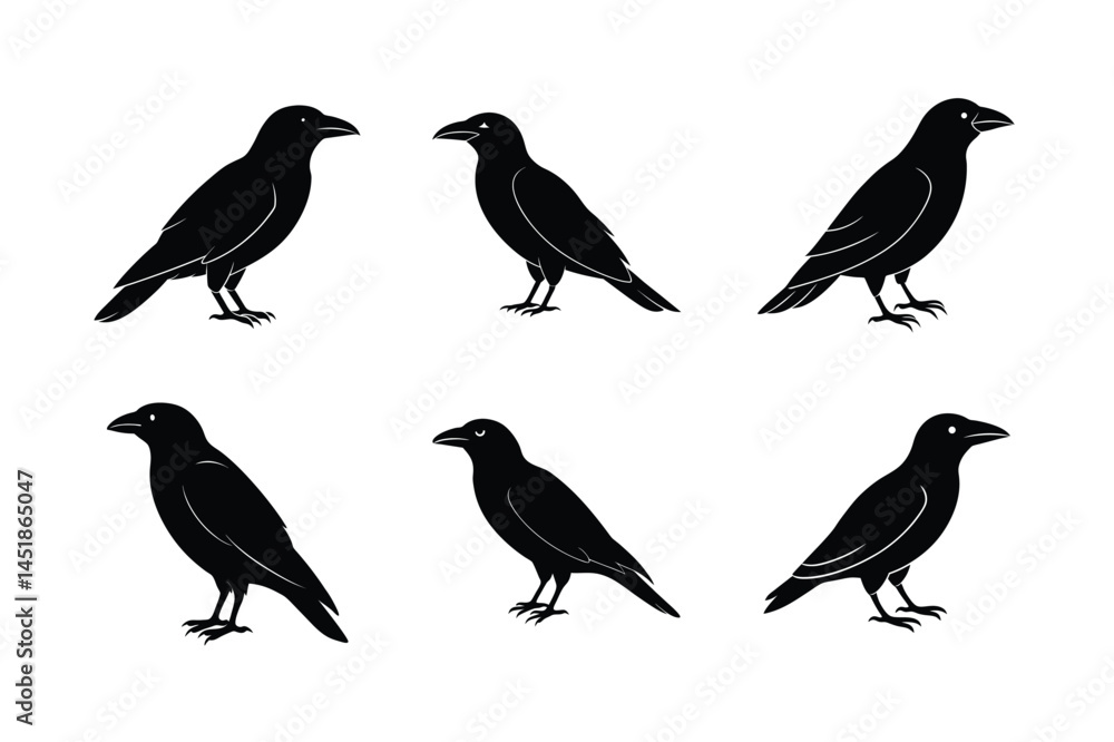 Obraz premium Flying Black Bird Vector Art