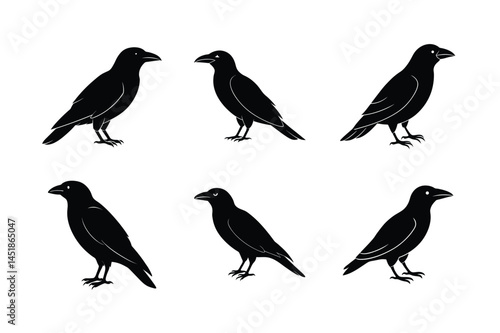 Wallpaper Mural Flying Black Bird Vector Art Torontodigital.ca