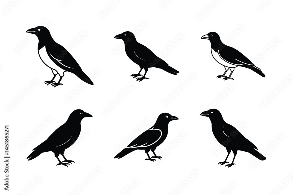 custom made wallpaper toronto digitalDetailed Crow in Flight Illustration
