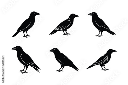 Wallpaper Mural Crow in Air Silhouette Clipart Torontodigital.ca