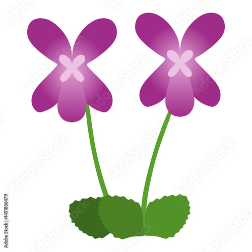purple violet flowers isolated vector illustration