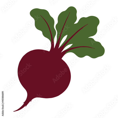 Beetroot with leaves – clean vector art isolated on white background. Great for organic food labels, vegetarian menus, garden ads, nutrition-themed designs and so on.