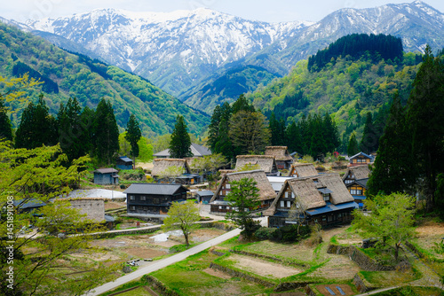 Traditional thatched-roof houses of Ainokura Village in Gokayama, Toyama, surrounded by lush greenery and mountain scenery in spring. A UNESCO World Heritage Site in rural Japan.