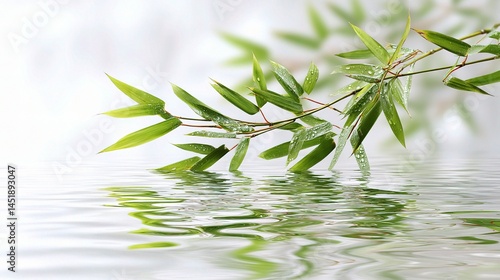 Obraz na płótnie Bamboo Leaf Over Transparent Water on White Surface w salonie
