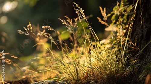Obraz na płótnie Glowing Grass Illuminated by Golden Light Near a Tree Base w salonie