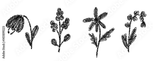 Set of spring flowers drawn with crayon or charcoal brush texture in black color