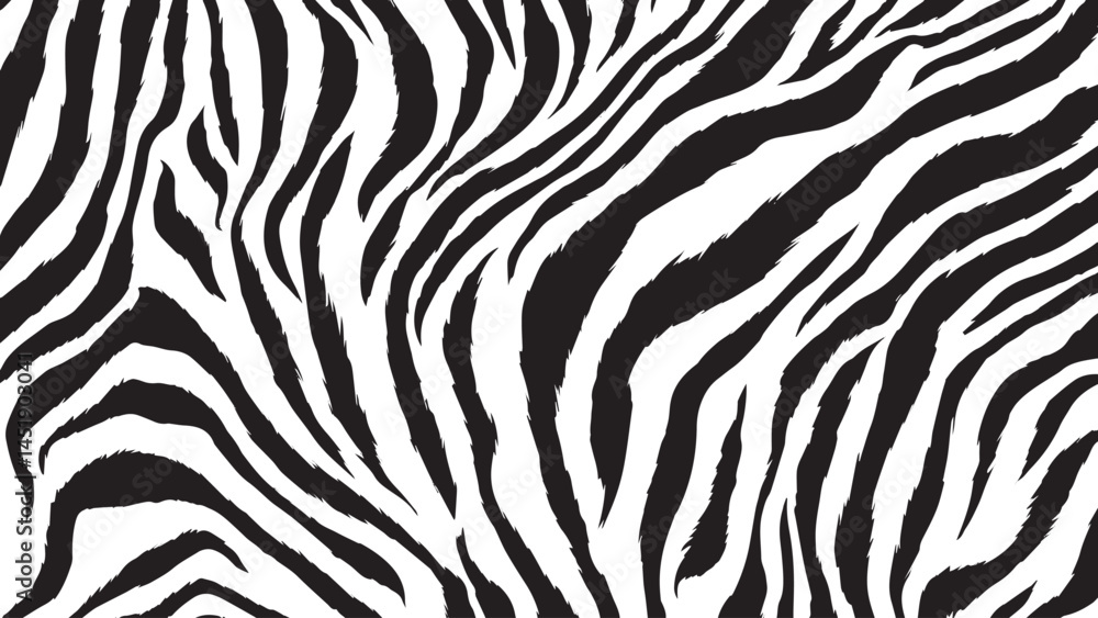 Seamless Zebra Pattern Design – Vector Illustration, Zebra skin close-up texture flat lay background, Abstract Seamless Zebra Skin Pattern Background Seamless Zebra Pattern Design – Vector Illustration, Zebra skin close-up texture flat lay background, Abstract Seamless Zebra Skin Pattern Background