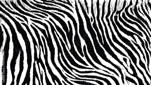 Zebra Pattern Textile Design Background, scratch and dust particle grain on white background.
