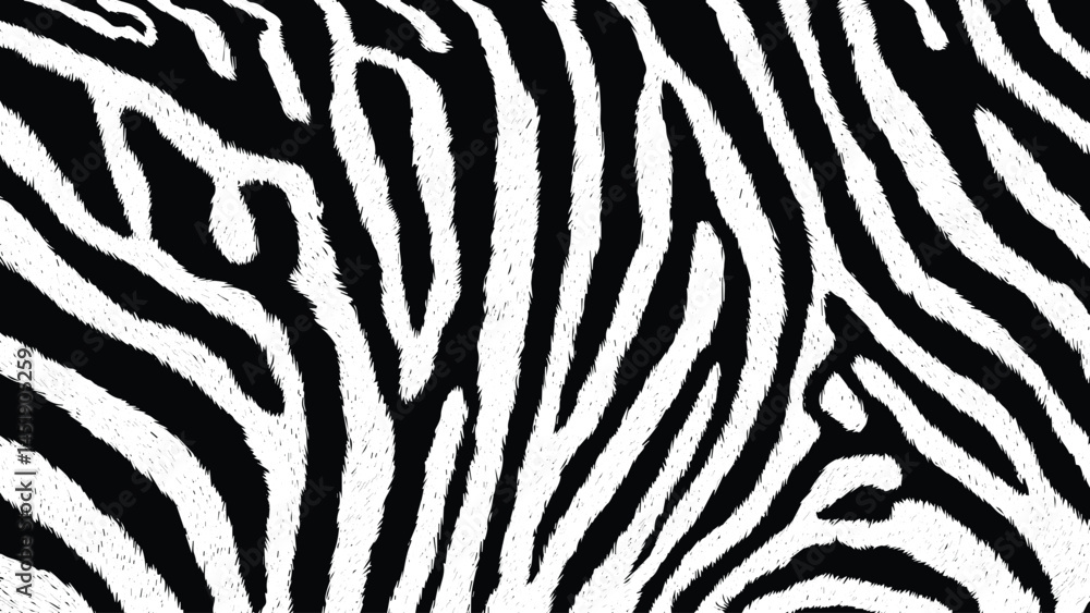 Zebra Stripes Pattern. Zebra print, animal skin, Abstract grunge texture effect, scratch and dust particle grain on white background. Zebra Stripes Pattern. Zebra print, animal skin, Abstract grunge texture effect, scratch and dust particle grain on white background.