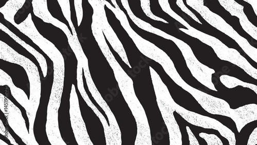 Zebra black and white background image, Natural texture of the zebra skin.