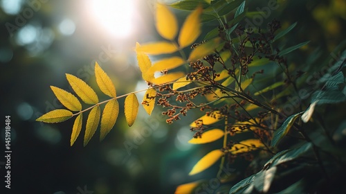 Obraz na płótnie Soft Bokeh Effect of Yellow and Green Foliage in Natural Setting w salonie