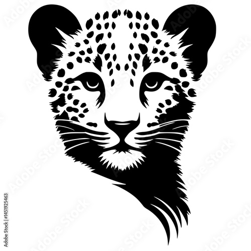 Leopard cub portrait silhouette