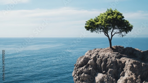 Solitary pine tree on a coastal rock formation.