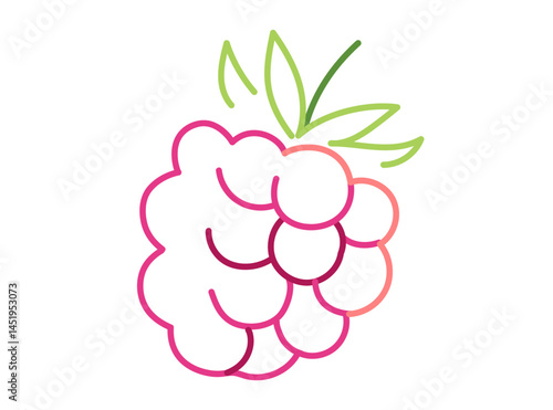 Raspberry fruit with leaves drawn in pink and green lines isolated on white background. Minimalistic line art illustration. Berry and healthy food concept