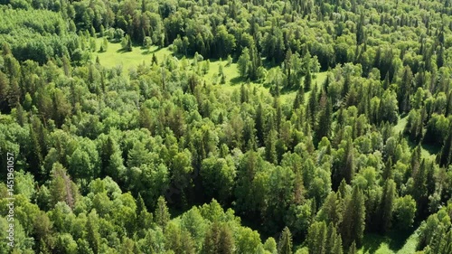 Southern Urals, Zyuratkul National Park: mountain taiga. Aerial view.