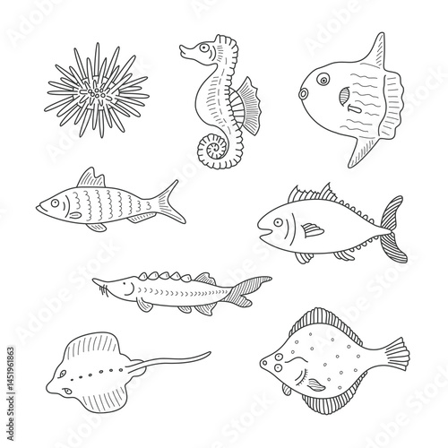 Set of monochrome vector doodle fishes and sea dwellers isolated on white background