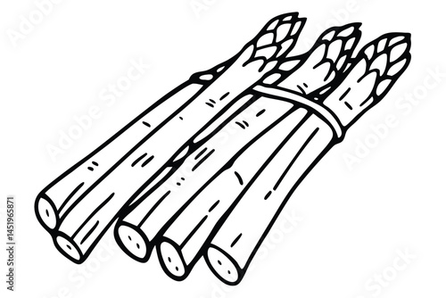 Bamboo Shoots Vector Illustration on White Background


