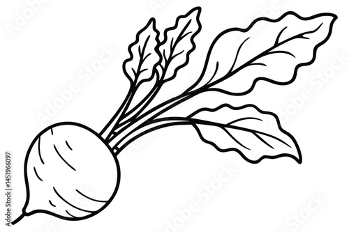Beet Greens Vegetable Vector Illustration on White Background

