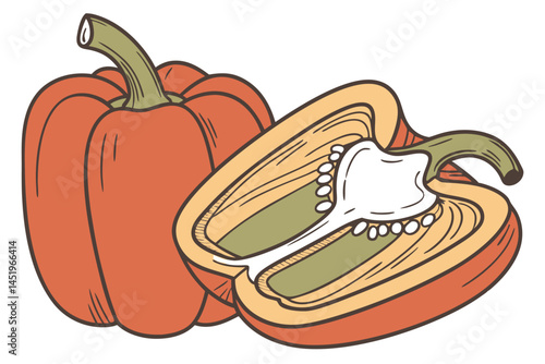 Bell Pepper Vegetable Vector Illustration on White Background

