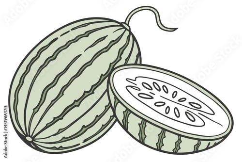 Bitter Melon Vegetable Vector Illustration on White Background

