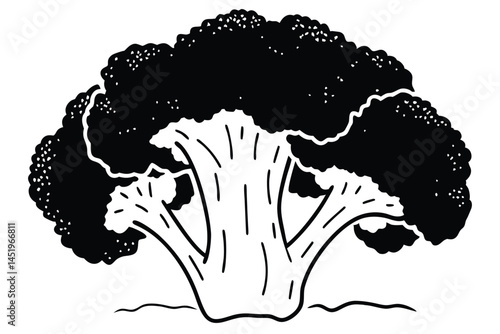 Broccoli Vegetable Vector Illustration on White Background

