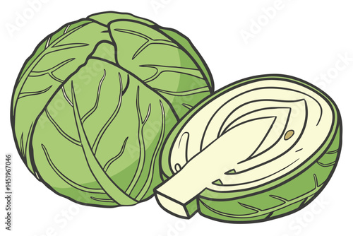 Brussels Sprouts Vegetable Vector Illustration on White Background

