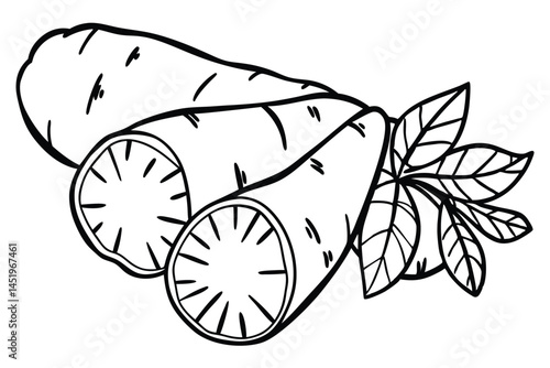 Cassava Yuca Vegetable Vector Illustration on White Background

