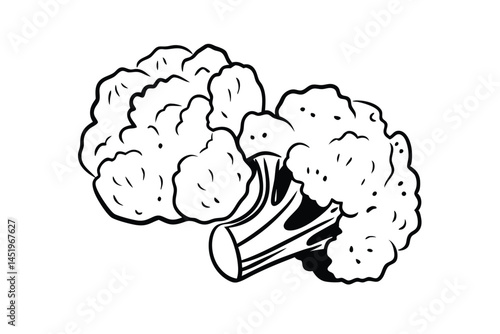 Cauliflower Vegetable Vector Illustration on White Background

