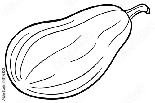 Chayote Vegetable Vector Illustration on White Background

