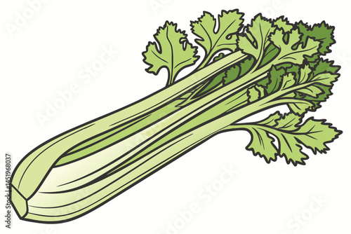 Celery Vegetable Vector Illustration on White Background

