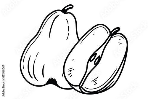 Chayote Vegetable Vector Illustration on White Background

