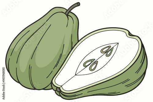 Chayote Vegetable Vector Illustration on White Background

