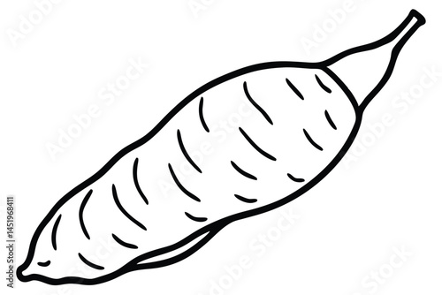 Chinese Yam Vegetable Vector Illustration on White Background

