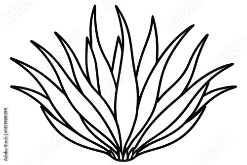 Chives Vegetable Vector Illustration on White Background

