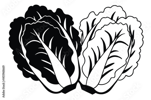 Collard Greens Vegetable Vector Illustration Isolated on White Background

