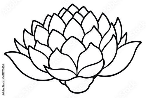 Jerusalem Artichoke Vegetable Vector Illustration Isolated on White Background

