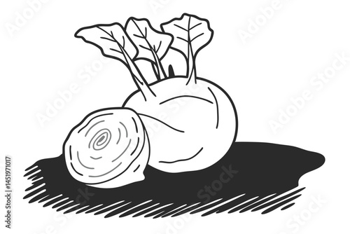 Kohlrabi Vegetable Vector Illustration Isolated on White Background

