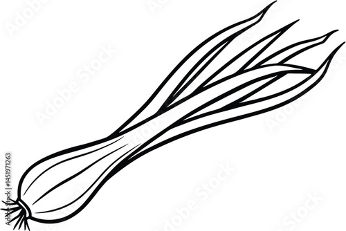 Lemongrass Sprouts Vegetable Vector Illustration Isolated on White Background

